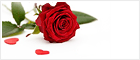 Valentines Day - Symbol Live-Chat #7 - Offline - English